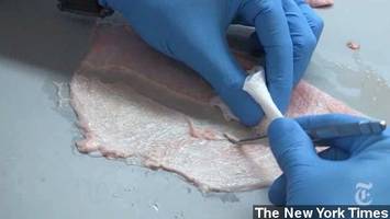 Pig Bladder Could Be Key To Muscle Regrowth After Injury